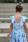 Preview: Crazy Paisly Flowers Blau